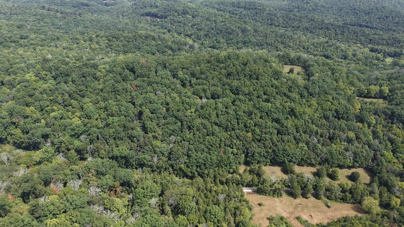 661 Red Tuttle Rd Lot 4, Bethpage, TN 37022