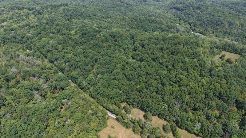 661 Red Tuttle Rd Lot 4, Bethpage, TN 37022