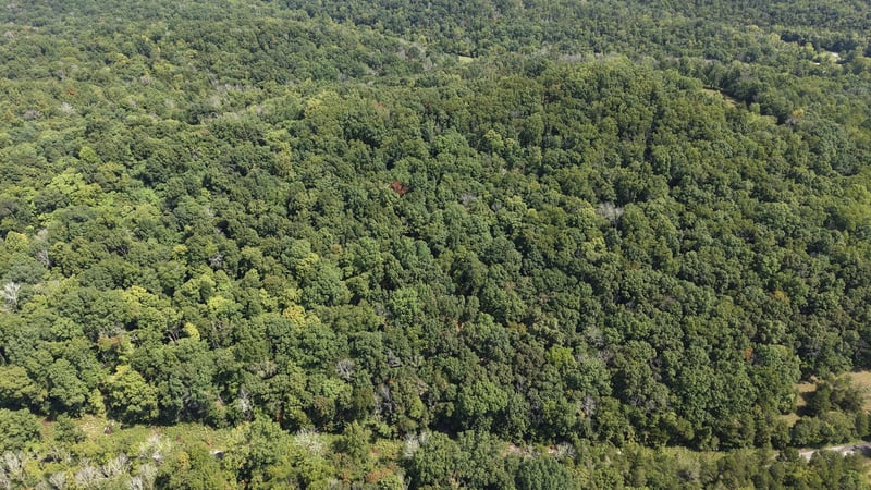 121 Madden Private Ln Lot 3, Bethpage, TN 37022