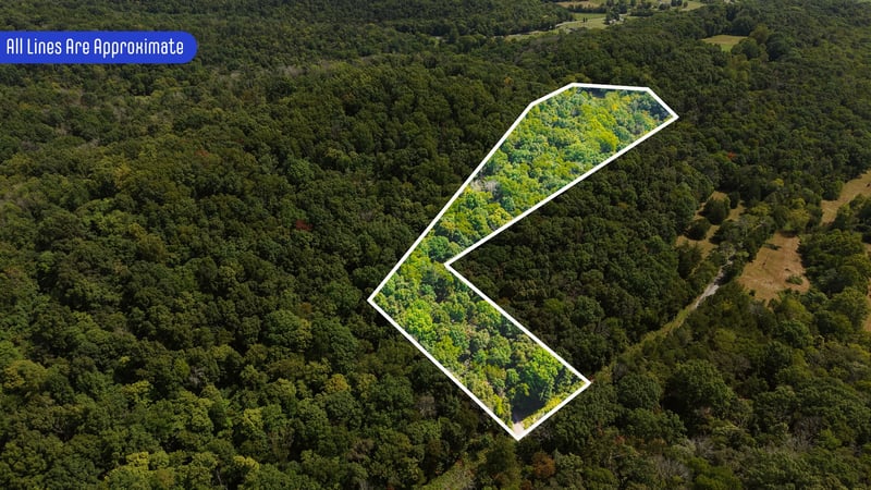 121 Madden Private Ln Lot 3, Bethpage, TN 37022