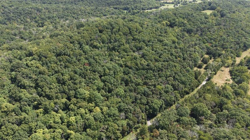 121 Madden Private Ln Lot 3, Bethpage, TN 37022