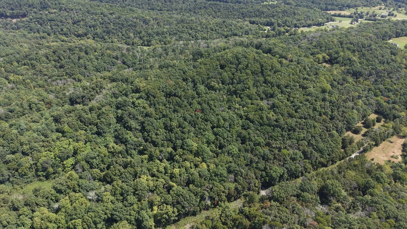 173 Madden Private Ln Lot 2, Bethpage, TN 37022