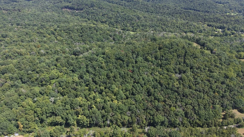 173 Madden Private Ln Lot 2, Bethpage, TN 37022