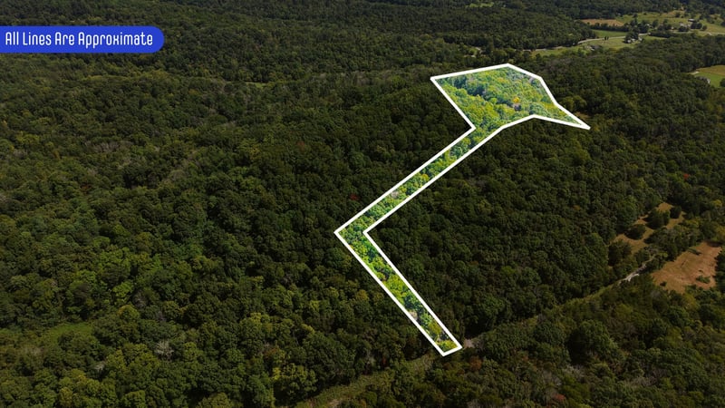 173 Madden Private Ln Lot 2, Bethpage, TN 37022