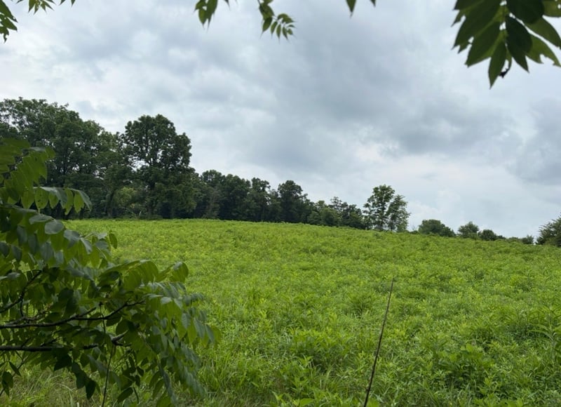 0 Gladdice Rd Lot 2, Pleasant Shade, TN 37145