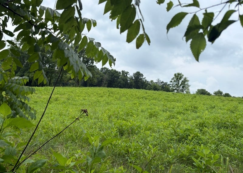 0 Gladdice Rd Lot 2, Pleasant Shade, TN 37145