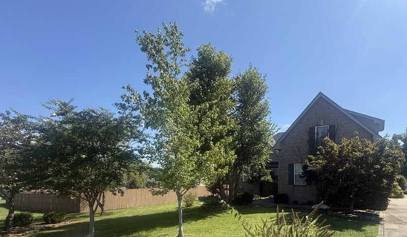 1310 Precept Dr, Murfreesboro, TN 37129