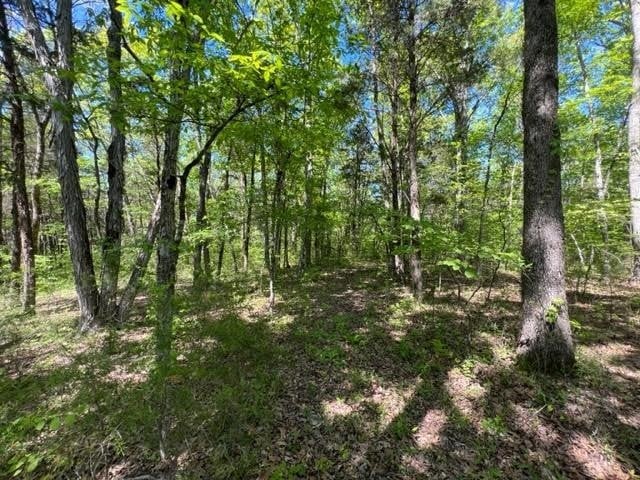 0 Joe Brown Rd, Spring Hill, TN 37174