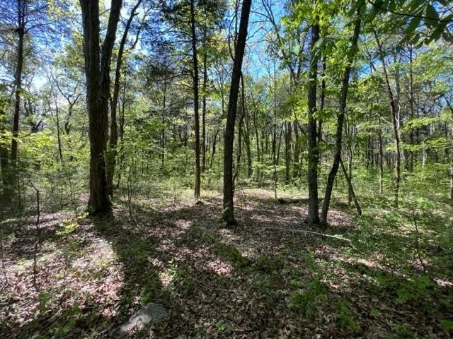 0 Joe Brown Rd, Spring Hill, TN 37174
