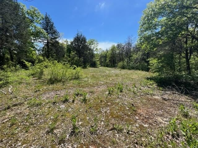 0 Joe Brown Rd, Spring Hill, TN 37174