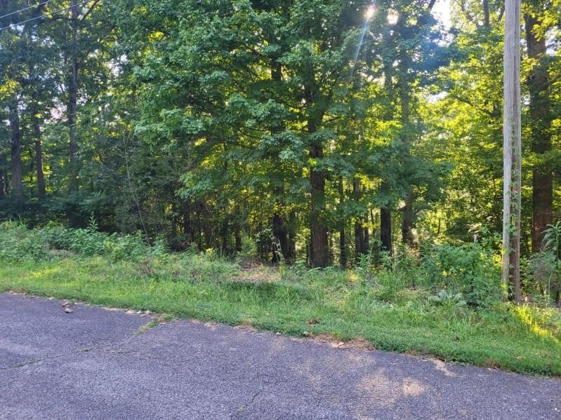 0 Scenic Dr Lot 43, Dickson, TN 37055