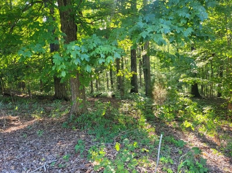 0 Scenic Dr Lot 43, Dickson, TN 37055