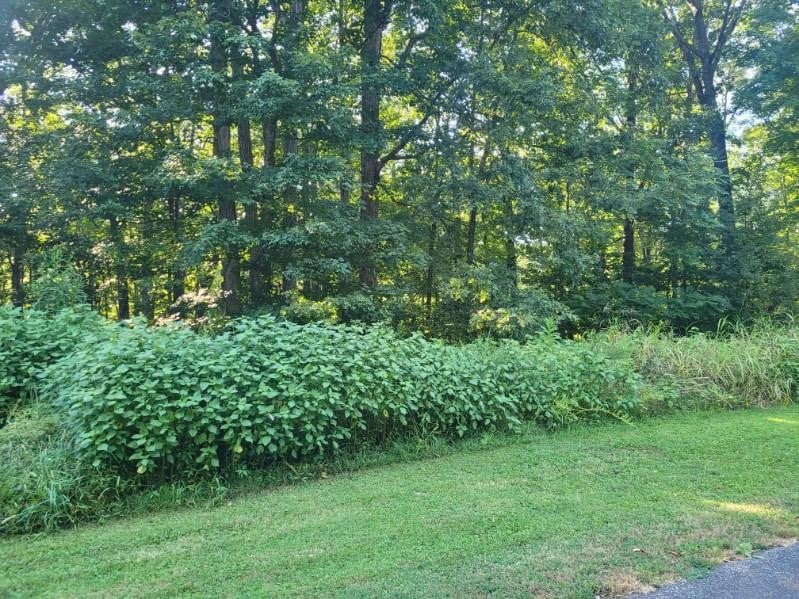 0 Scenic Dr Lot 43, Dickson, TN 37055