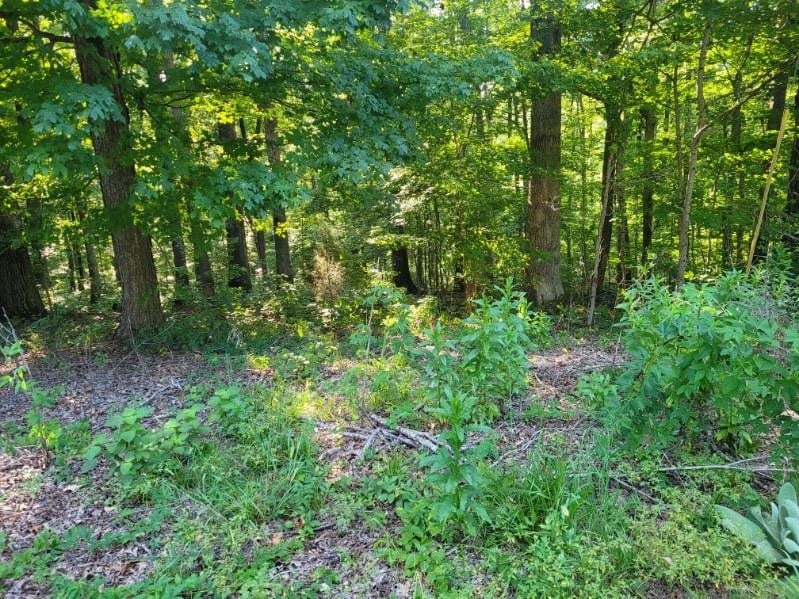 0 Scenic Dr Lot 43, Dickson, TN 37055