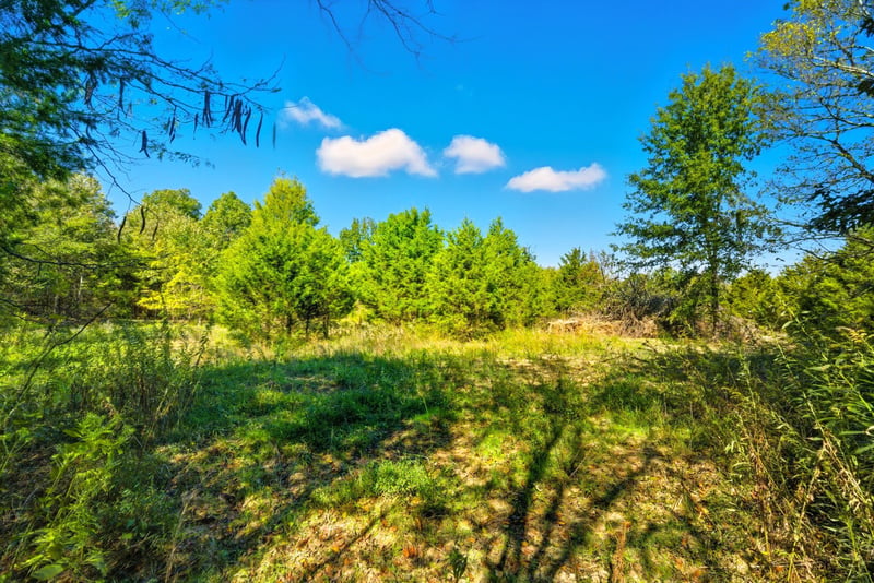 795 White Rd, Portland, TN 37148