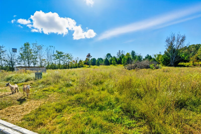 795 White Rd, Portland, TN 37148