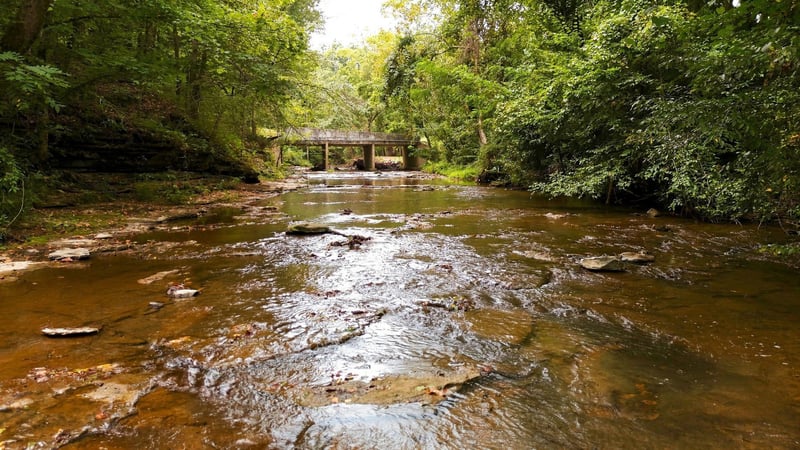 0 Columbia Rd Lot Tr 6, Dickson, TN 37055