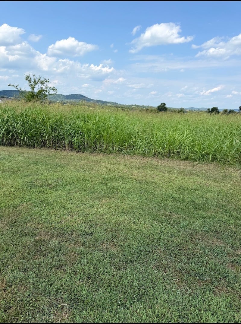 0 31 Highway E, Gallatin, TN 37066