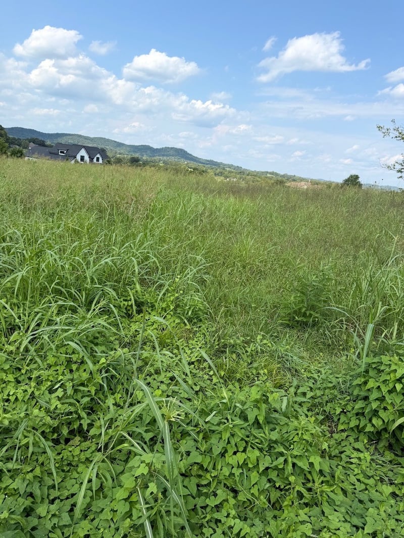0 31 Highway E, Gallatin, TN 37066