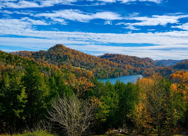 29 Cordell Hull Ln, Elmwood, TN 38560