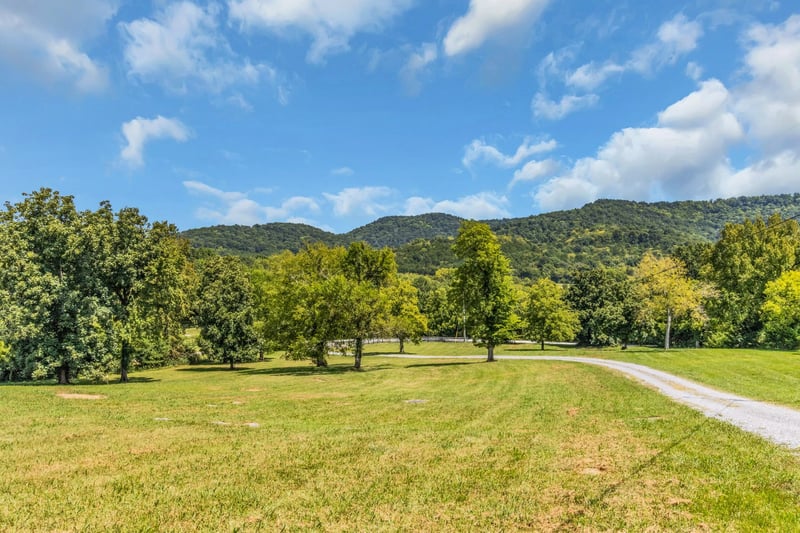 7915 Dismal Hollow Rd, Christiana, TN 37037