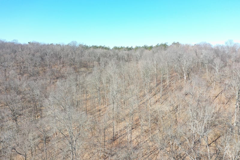 0 Dog Branch Rd, Mount Pleasant, TN 38474