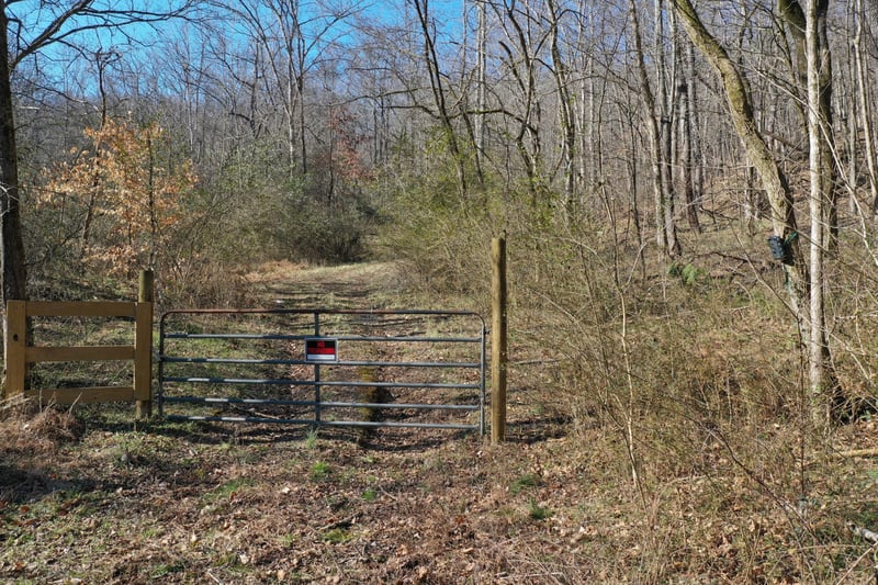 0 Dog Branch Rd, Mount Pleasant, TN 38474