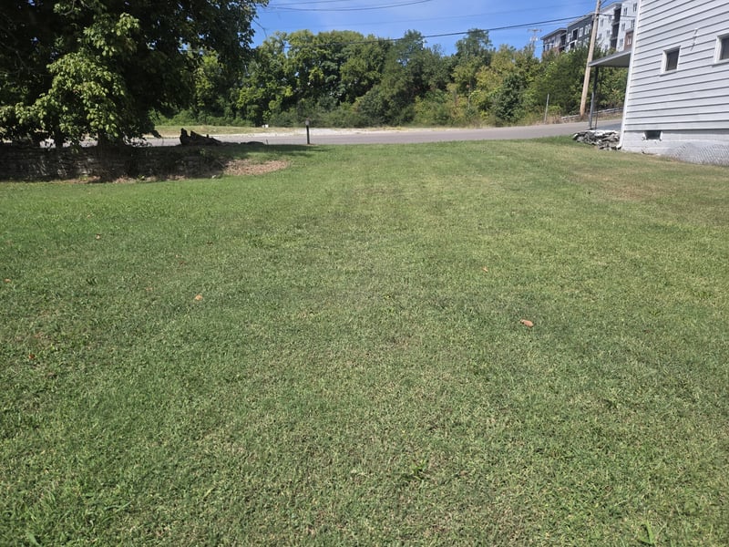 805 Glade St, Columbia, TN 38401