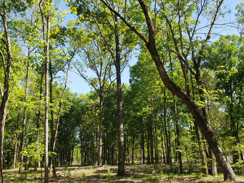 0 Kedron Rd Lot 1, Spring Hill, TN 37174