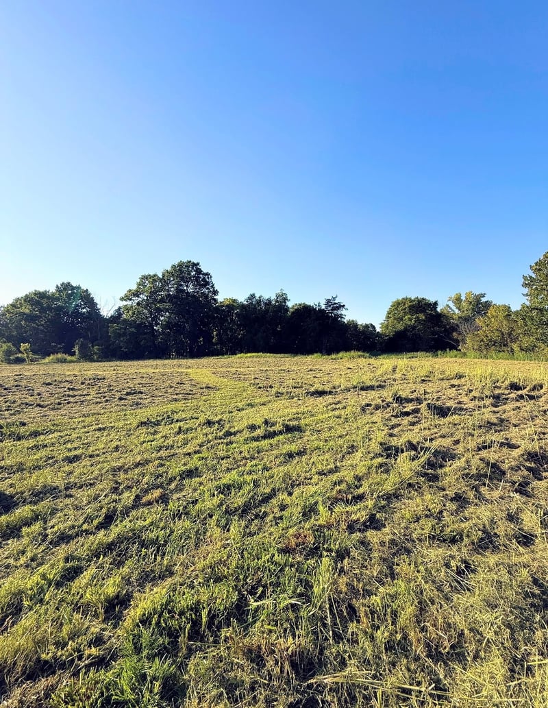 8001 Cainsville Rd Lot 8, Lebanon, TN 37090