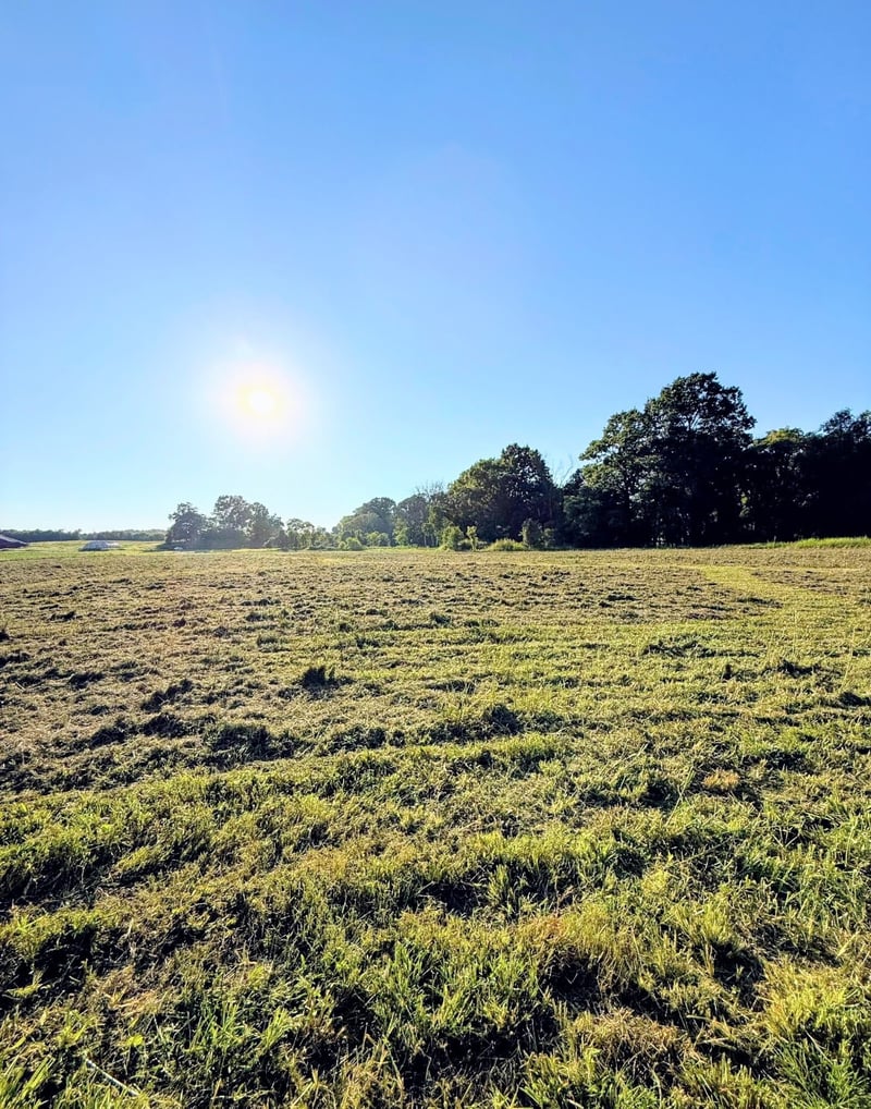 8001 Cainsville Rd Lot 8, Lebanon, TN 37090