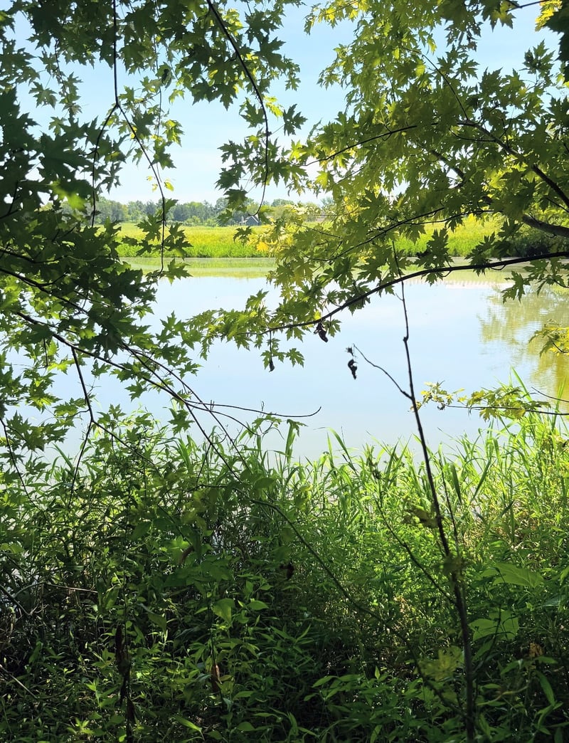 8001 Cainsville Rd Lot 8, Lebanon, TN 37090