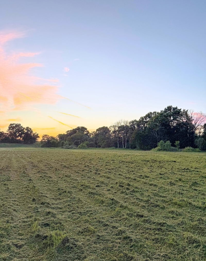 8001 Cainsville Rd Lot 8, Lebanon, TN 37090