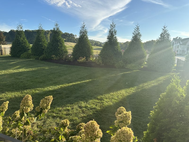 2127 Burgin Dr, Thompsons Station, TN 37179