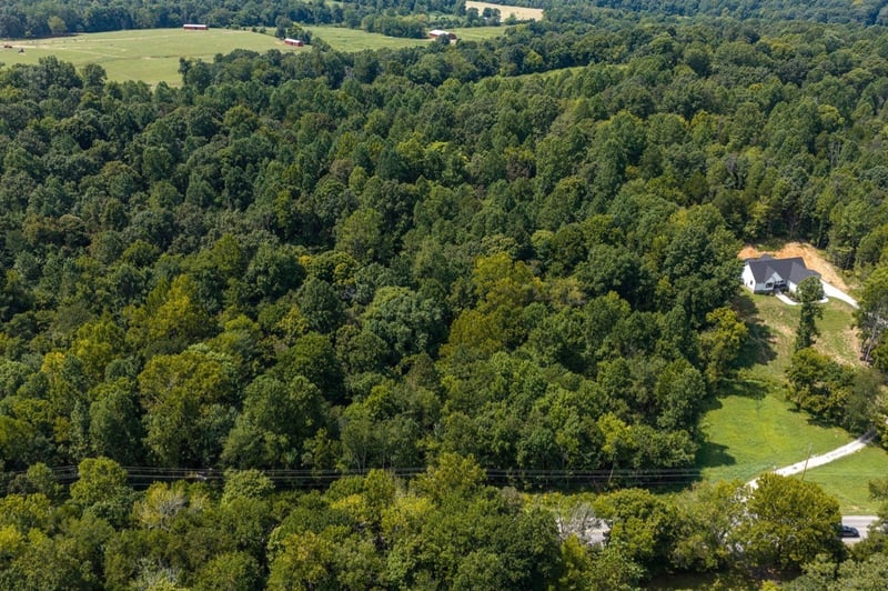 0 Highway 48 N, Cumberland Furnace, TN 37051