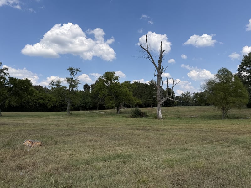 0 Midland Fosterville Rd, Bell Buckle, TN 37020