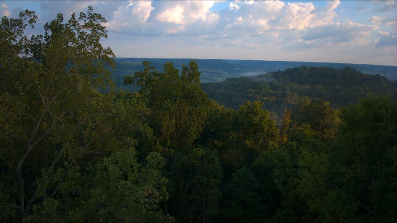 0 Pigg Schoolhouse Rd, Santa Fe, TN 38482