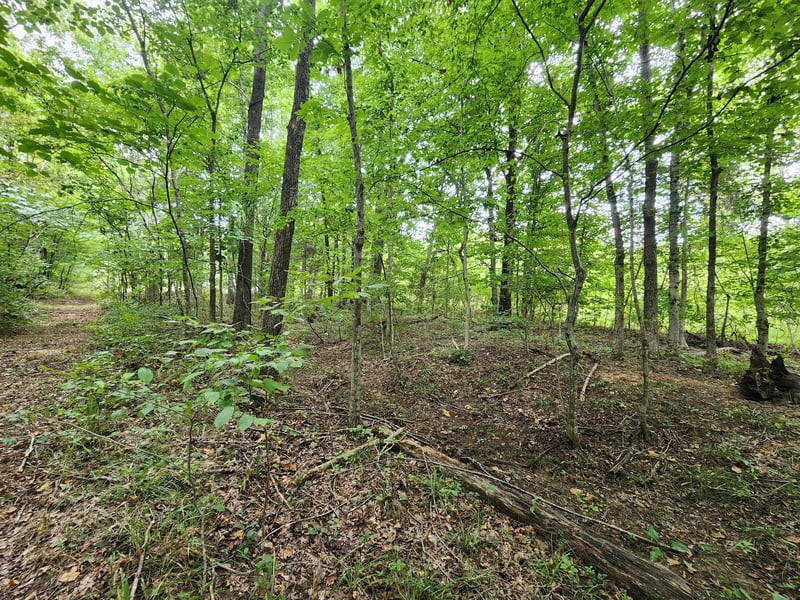 2754 Scribners Mill Rd, Culleoka, TN 38451