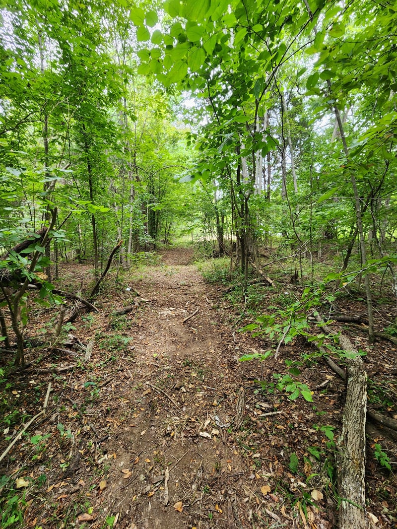 2754 Scribners Mill Rd, Culleoka, TN 38451