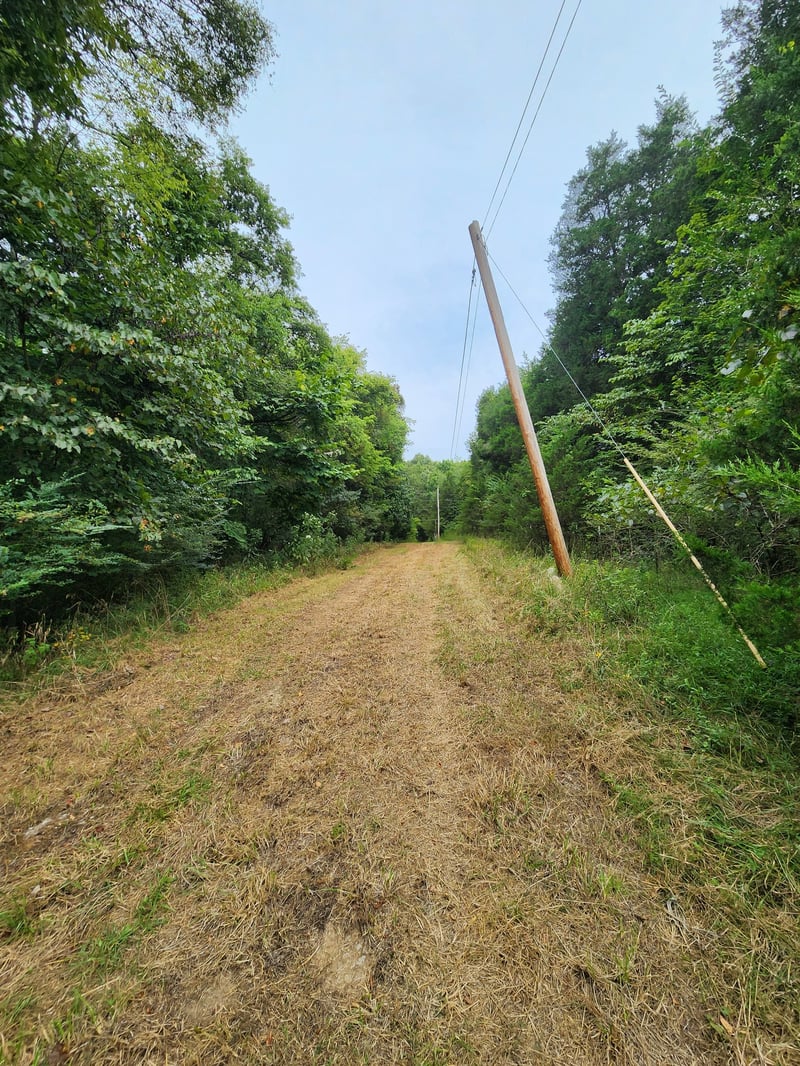 2754 Scribners Mill Rd, Culleoka, TN 38451