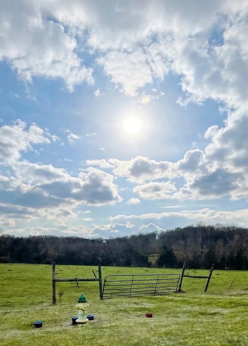 0 Panther Creek Rd, Christiana, TN 37037