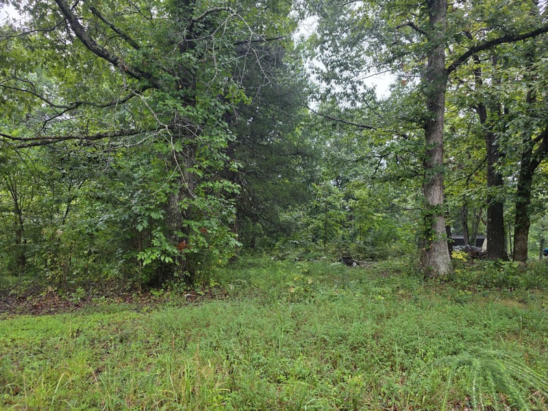 1875 Old Lock A Rd, Charlotte, TN 37036