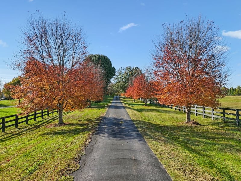6435 Eudailey Covington Rd, College Grove, TN 37046