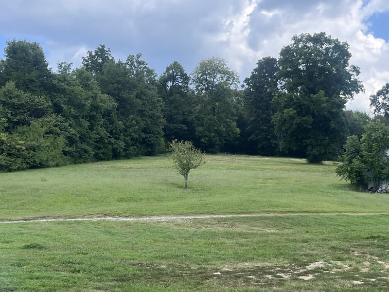 8 Oak Ln, Pleasant Shade, TN 37145