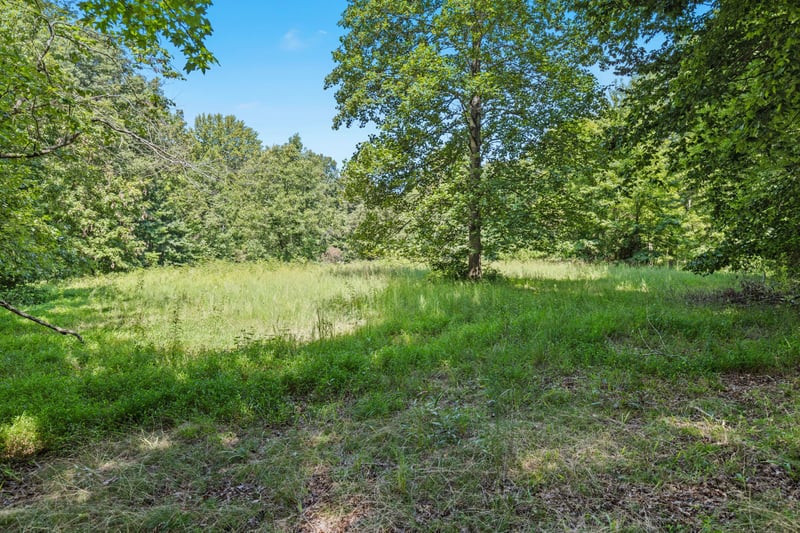 1320 Old Clarksville Pike, Pleasant View, TN 37146