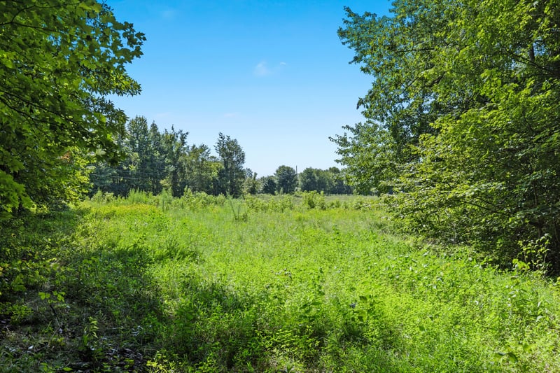 1320 Old Clarksville Pike, Pleasant View, TN 37146