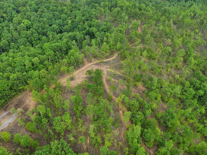 0 Simmons, Ashland City, TN 37015
