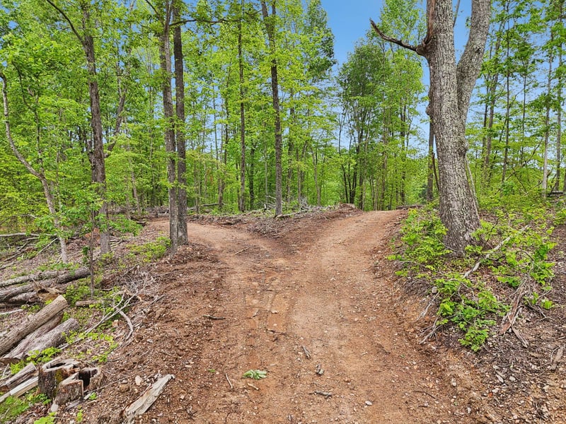 0 Simmons, Ashland City, TN 37015