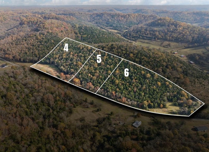 0 Club Springs Rd Lot 4-6, Elmwood, TN 38560