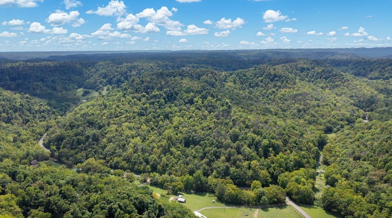 7659 Burks Rd, Christiana, TN 37037